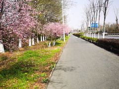 -南京老山国家森林公园