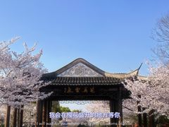 -广富林郊野公园