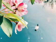 -海棠花溪(元大都城垣遗址公园)