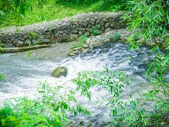 -杭州半山国家森林公园