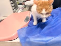 -美联众合动物医院·24h京西诊疗中心