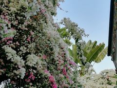 -深圳国际园林花卉博览园