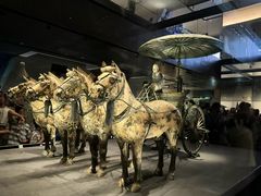 -秦始皇帝陵博物院-丽山园