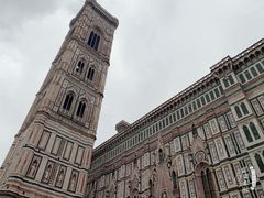 -圣母百花大教堂穹顶