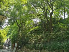 -白沙古井