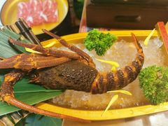 -牛New寿喜烧(青浦店)