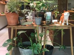 大堂-柴务处·柴犬主题狗咖