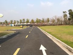 -春花秋色城市公园