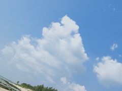 -东郊椰林