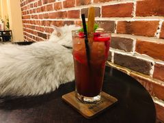 -猫友咖啡店(玉林西路店)