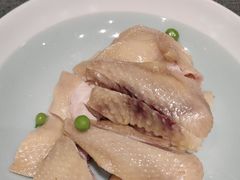 -新吉士·上海菜(浦东LCM置汇旭辉店)