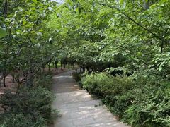 -河北省园博园