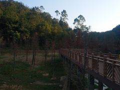 -神光山国家森林公园