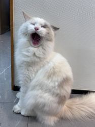 -元一肌肤管理中心
