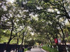 -广州市白云山风景名胜区