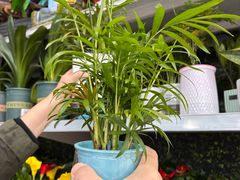 -大润发(康桥店)