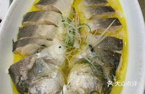 Desert Yellow Croaker
