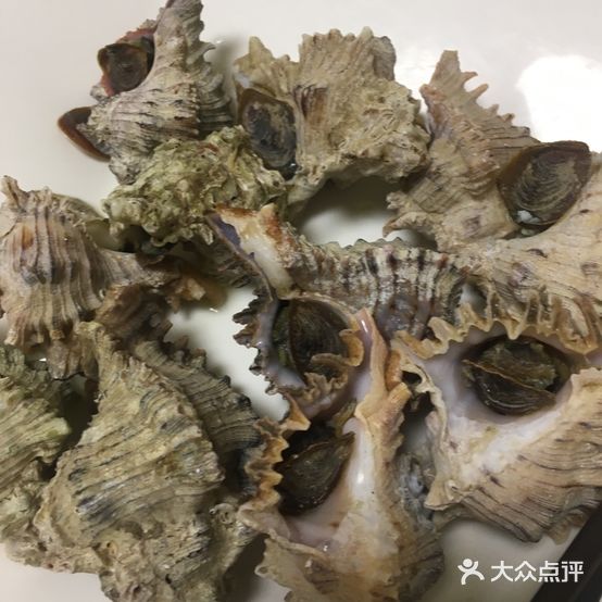 然海渔村