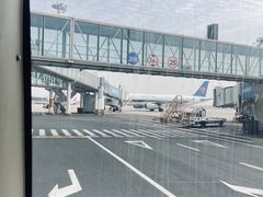 -郑州新郑国际机场-T2航站楼