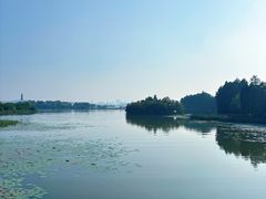 -东湖落雁景区