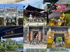 -宝莲禅寺