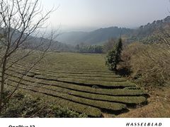 -敬亭山风景名胜区