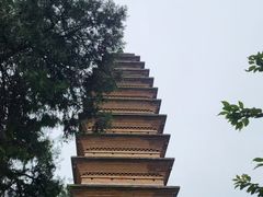 -洛阳白马寺