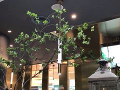 -青花椒花椒鱼(合生汇店)