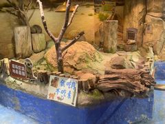 -正佳雨林生态植物园