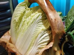 -东椰·海南椰子鸡火锅(朝阳门店)