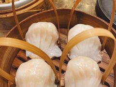 -金鼎轩(方庄天坛店)
