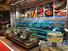 水产区-强记海鲜·大排档(蛇口新街店)