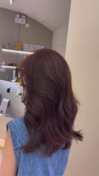-Mentor Hair Salon
