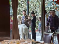 -南宁荔园维景国际酒店·荔园中餐厅