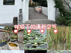 -白鹭湾湿地公园