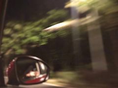 -吉英盐焗鸡(文中路店)