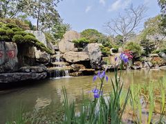 -东莞植物园