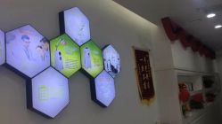 -莱可美科技美肤