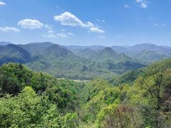 -黑河国家森林公园