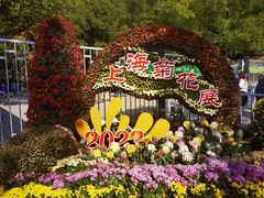 -上海共青森林公园