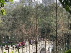 -重庆彩云湖湿地公园