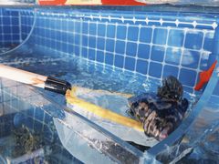 -大厨的餐厅(曾厝垵总店)