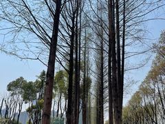 -后襄河公园