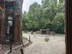 -上海野生动物园老虎餐厅