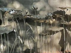 -人民公园-相亲角