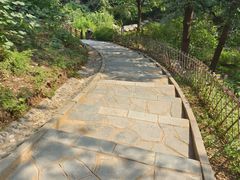 -北京西山国家森林公园