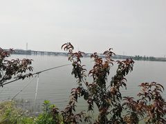 -野芷湖(地铁站)