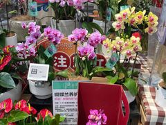 -盒马鲜生(富田新天地店)