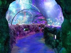 -沈阳海洋探索中心