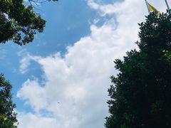 -蒋氏故居